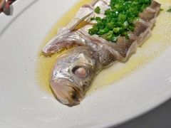 清蒸大白鱼-悦融·京鲁菜·露台花园(安定门店)