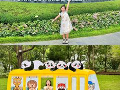 -云溪植物园