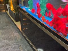 -臻享养生·SPA·影院式足道(汇臻店)