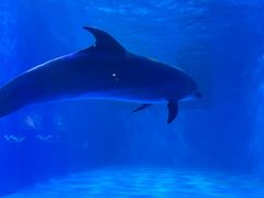 -多彩贵州城极地海洋世界