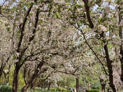 -元大都城垣遗址公园