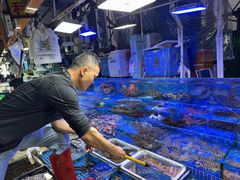 -霞涌市场海鲜摆卖区
