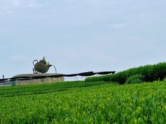 -龙坞茶村