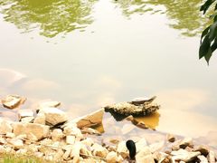 -香山湖公园