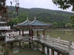 -九鲤湖风景区