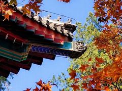 -香山公园