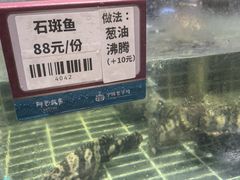 -阿毛饭店首店·宁波老字号(文化广场店)