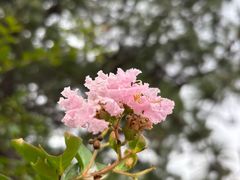 -白水寺森林公园