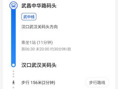 -武昌中华路码头(轮渡站)