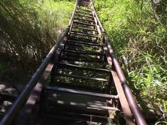 -丽江虎跳峡大酒店