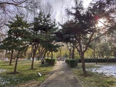 -玲珑塔公园