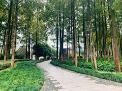 -月湖公园