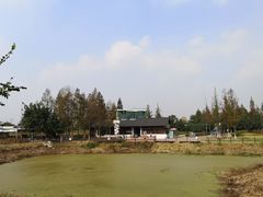 -田园东方蜜桃村的田野营地