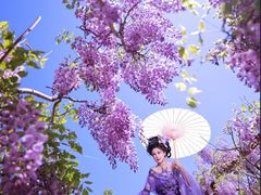 -红螺寺