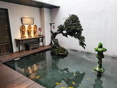 -觀芷隐轩