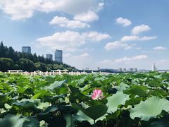 -云龙湖旅游景区