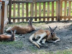 -水上乐园·欢乐世界