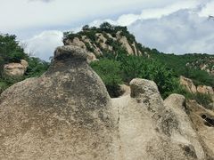 -大岭沟猕猴桃谷风景区