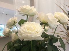 -三圣花乡旅游区