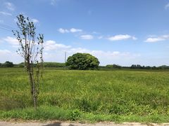 -嘉北郊野公园
