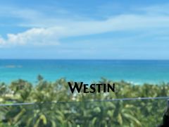 -蓝湾绿城威斯汀度假酒店大堂吧