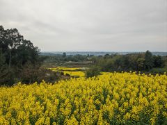-樱桃山旅游景区