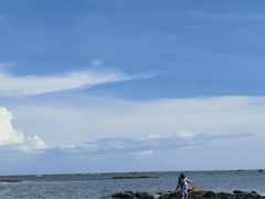 -北海金海湾红树林生态旅游区