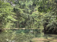 -雁荡山风景名胜区
