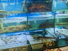 -桔子海鲜烧烤大排档(台东店)