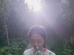 -禹州森林植物园