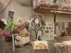 -PETKIT小佩宠物(古北店)