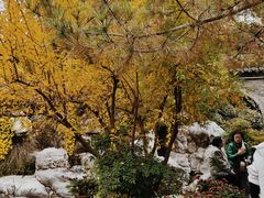 -回龙窝历史文化街区