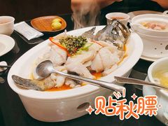 青花椒蒸龙胆鱼-闽和南(深圳万象城店)