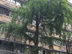 -奎星楼街