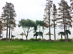 -上海美帆帆船露营基地