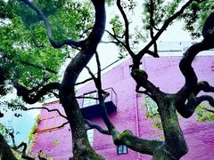 -华山263老字号品牌馆