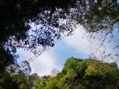 -藏龙百瀑风景区