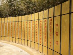 -河南中医药大学第一附属医院·皮肤美容