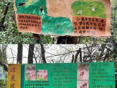 -红山森林动物园