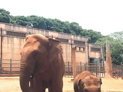 -昆明动物园