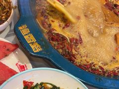 -渔香岛美蛙鱼头火锅(黔灵山公园店)