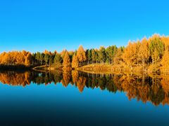 -塞罕坝国家级自然保护区