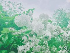 -大龙山(地铁站)