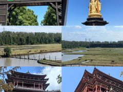 -溱湖国家湿地公园