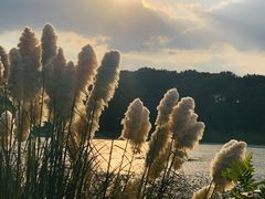 -上海市保健医疗中心