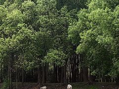 -动邦皮划艇·桨板·独木舟·团建户外运动俱乐部