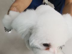 -佳雯宠物医院(金华南路分院)