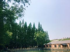 -南京金牛湖风景区