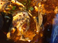 -风鑫铃罗非鱼(道沟店)