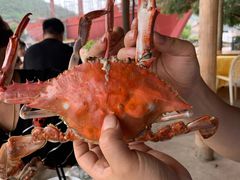 -胖大嫂渔家排档·全海景餐厅(渔村店)